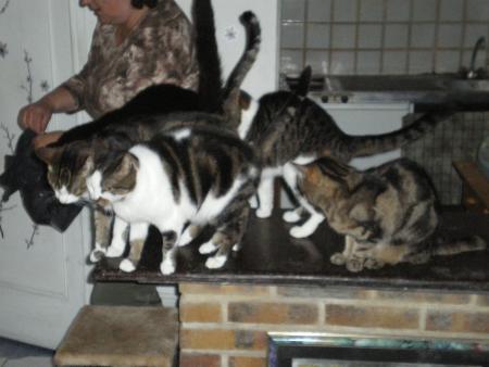 chatmours de Patricia