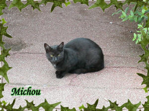 Michou
