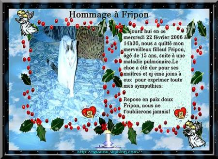 Hommage a Fripon