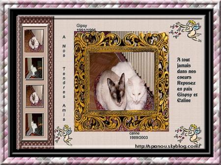 Hommage a Gipsy et Caline